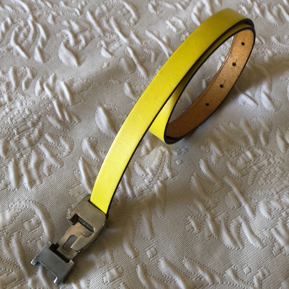 Vintage Iceberg Belt